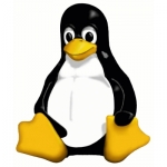 Kostenloser Webspace von pinguindoktor, auf Homepage erstellen warten